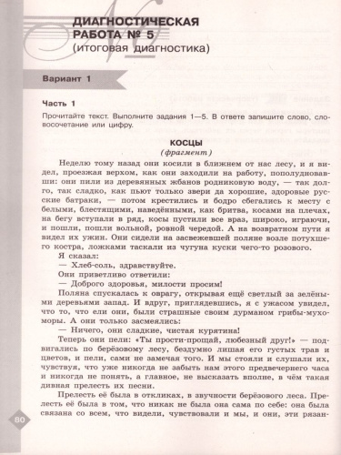 Литература 5 класс. Диагностические работы