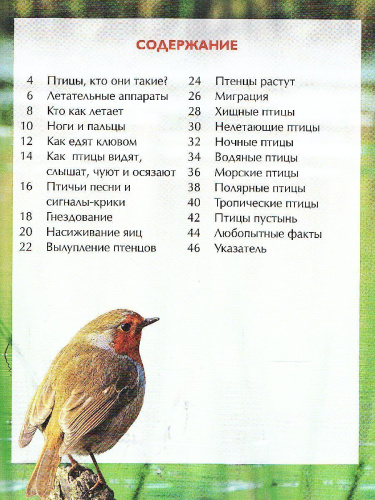 Птицы. Детская энциклопедия (Росмэн)