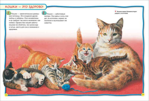 Кошки и котята. 100 фактов