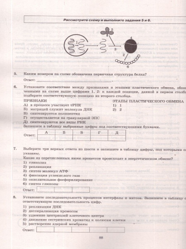 ЕГЭ 2026 Биология. Типовые варианты экзаменационных заданий. 12 вариантов. ФИПИ