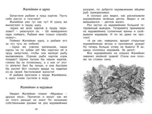 Лесные тайнички. Чтение - лучшее учение