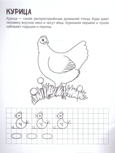 Готовим руку к письму.Раскраска с прописями.Домашние питомцы