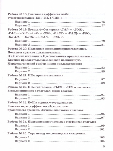 Русский язык 5 класс. Зачетные работы (к новому учебнику). ФГОС НОВЫЙ