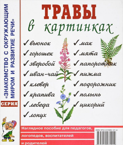 Травы в картинках. Наглядное пособие для педагогов, логопедов, воспитателей и родителей