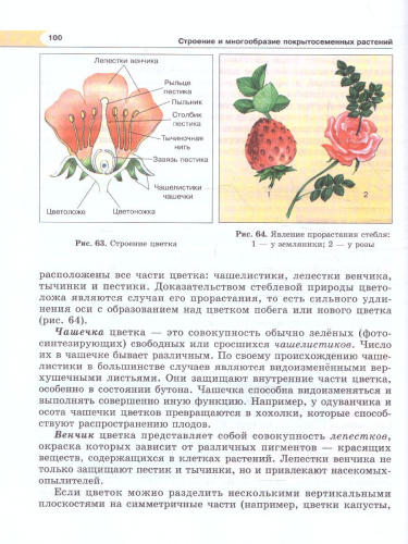 Биология 5 класс. Живые организмы. Растения. Учебник