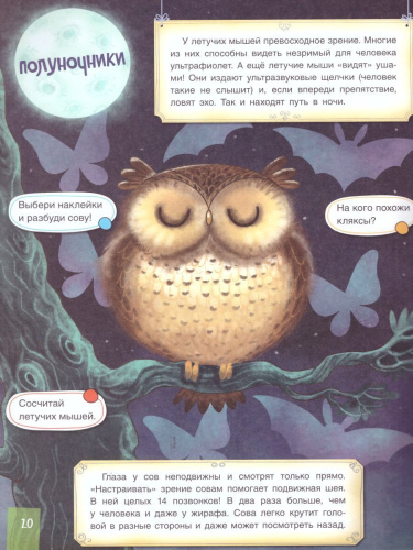 Куда пойдем? В зоопарк!