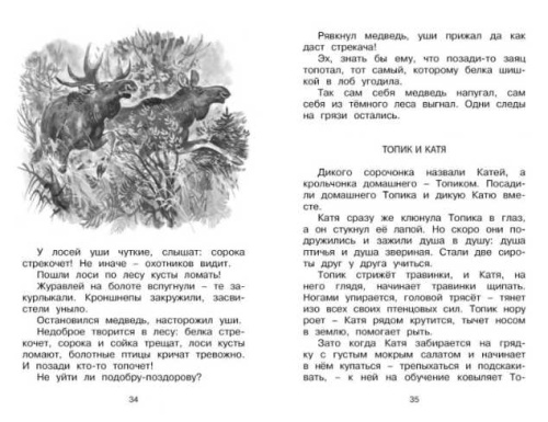 Лесные тайнички. Чтение - лучшее учение