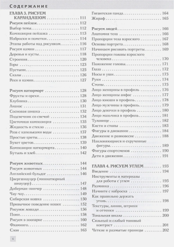 Полный курс рисования и живописи. Академия рисования
