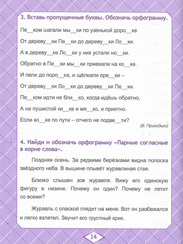 Русский язык 3 класс. Комплексный тренажер