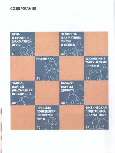 Занимательные шахматы. Книга начинающего игрока/ШШ (Вако)