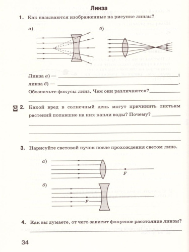 Естествознание 6 класс. Введение в естественно-научные предметы. Рабочая тетрадь. Вертикаль. ФГОС