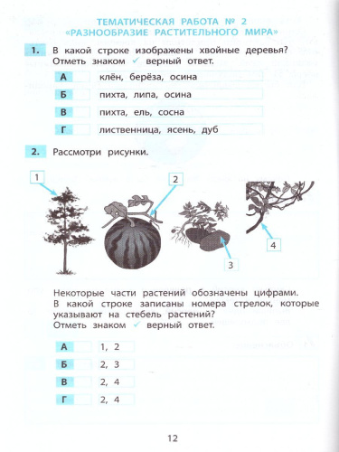 Окружающий мир 2 класс. Мониторинг и формирование естественнонаучной грамотности