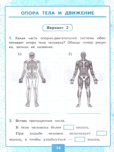 Окружающий мир 3 класс. Контрольные работы. Часть 1. К новому учебнику. УМК Плешакова. ФГОС НОВЫЙ