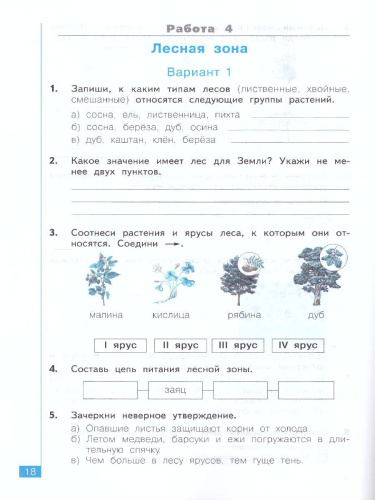 Дмитриева, Казаков Окружающий мир 3 кл. Тематический и итоговый контроль. Рабочая тетрадь (Бином)