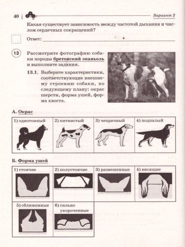 ВПР. Биология 8 класс. 10 тренировочных вариантов
