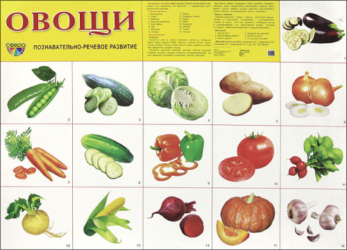 Демонстрационный плакат Овощи /А2