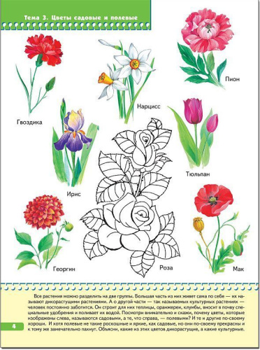Школа Семи Гномов Четвертый год. Я изучаю природу