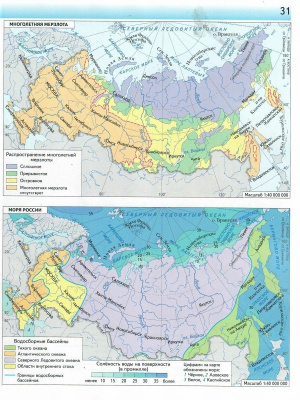 65683265-2