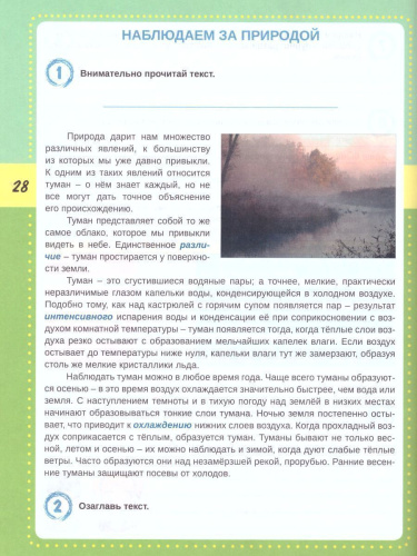 Смысловое чтение 4 класс. Тренажёр для школьников