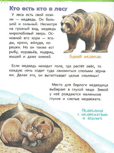 В лесу