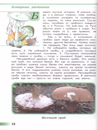 Зеленые страницы. Книга для учащихся начальных классов. ФГОС. УМК "Школа России"