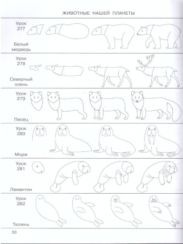 365 уроков: нарисуем шаг за шагом всё на свете / 365 занятий: шаг за шагом