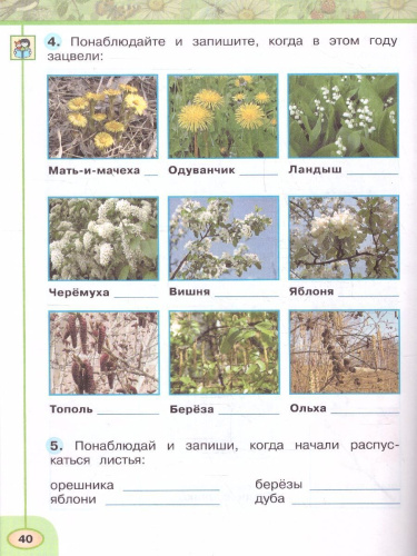 Окружающий мир 2 класс. Рабочая тетрадь. Часть 2. К новому учебному пособию.