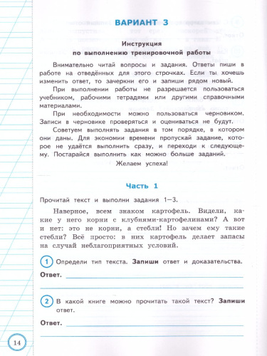ВПР Литературное чтение 3 класс. Практикум. ФГОС