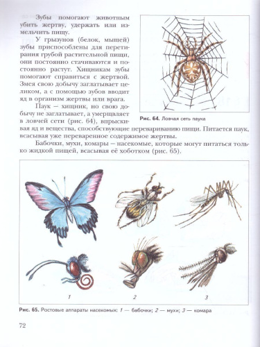 Биология 5 класс. Учебник. ФГОС