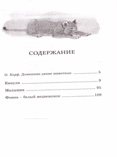 Фомка - белый медвежонок. Чтение - лучшее учение
