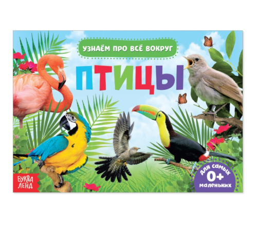 Обучающая книжка Птицы 18 птиц