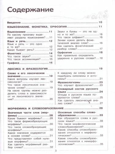 Русский язык. Школьный курс в вопросах и ответах