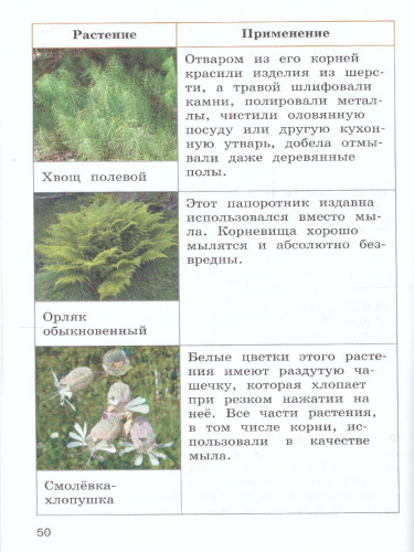 Окружающий мир. Переходим в 4-й класс. ФГОС. УМК "Школа России" (ФП2022)