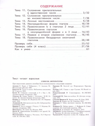 Русский язык 4 класс. Что я знаю. Что умею. Тетрадь проверочных работ. Часть 2
