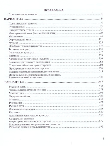 Примерные рабочие программы по учебным предметам и коррекционным курсам НОО слабовидящих обучающихся 2 класс. Варианты 4.2, 4.3.