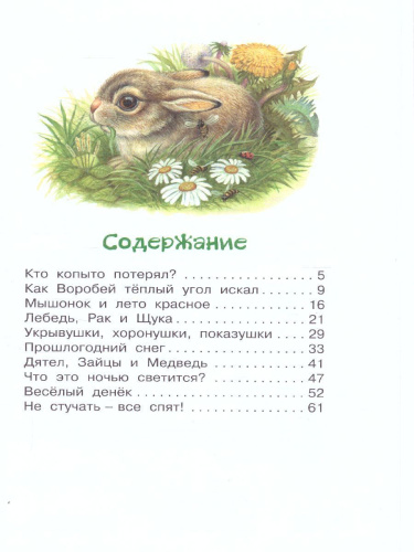 Лесные истории