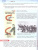История. Военная история России 10-11 классы. Учебное пособие