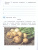 Формирование функционального чтения 2 класс. Рабочая тетрадь Формирование функционального чтения 2 класс. Рабочая тетрадь