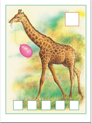 55584029-2