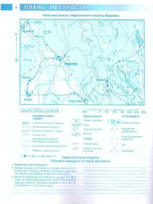 65699429-4