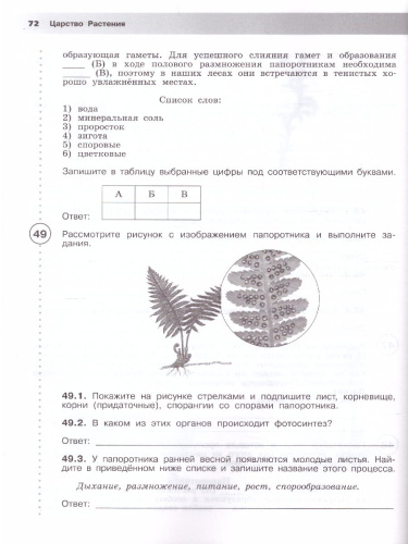 ВПР. Биология 5 класс. Рабочая тетрадь. 5 класс