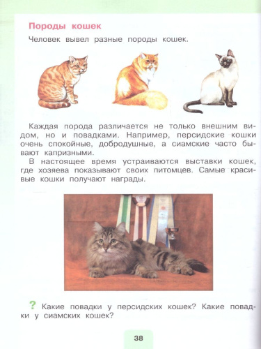 Мир природы и человека 2 класс. Для обучающихся с интеллектуальными нарушениями. Часть 2
