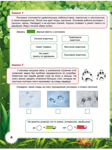 Занимательный окружающий мир. Удивительные растения и животные 2 класс. Развивающий тренажёр для школьников