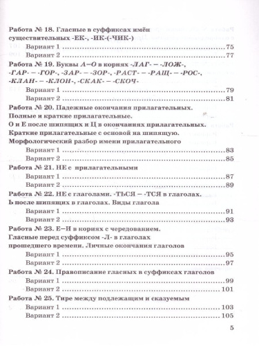 Русский язык 5 класс. Зачетные работы. ФГОС