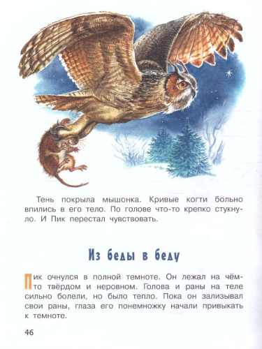 Мышонок Пик / ПервКнижки(о животных)