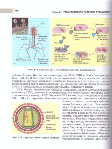 Биология 10 класс. Углубленный уровень. Учебник