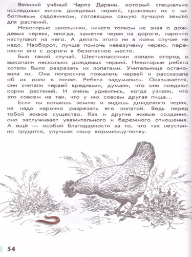 Великан на поляне или первые уроки экологической этики. ФГОС