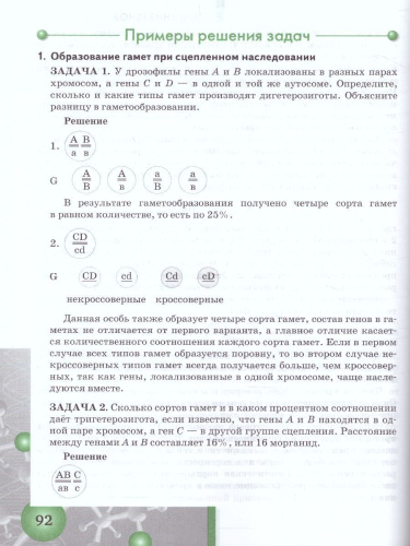 Задачи по молекулярной Биологии и Генетике 10-11 класс. Теория и практика
