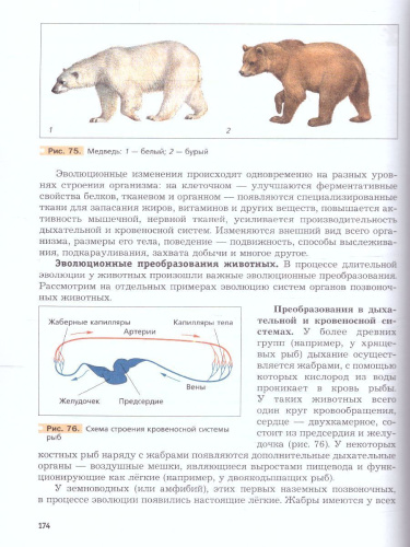 Биология 9 класс. ФГОС (концентрический курс)