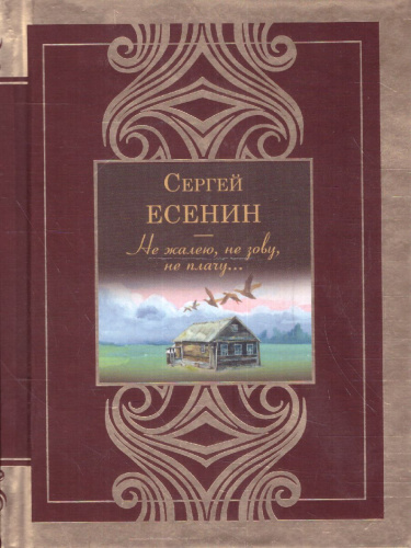 Не жалею, не зову, не плачу. Великая поэзия